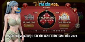 tài xỉu 78wincomnet